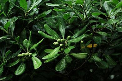 《战地2042》总监表示未命名新工作室正在参与开发