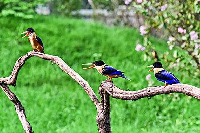 《战神》新改编桌游正式公布 2024年开启众筹